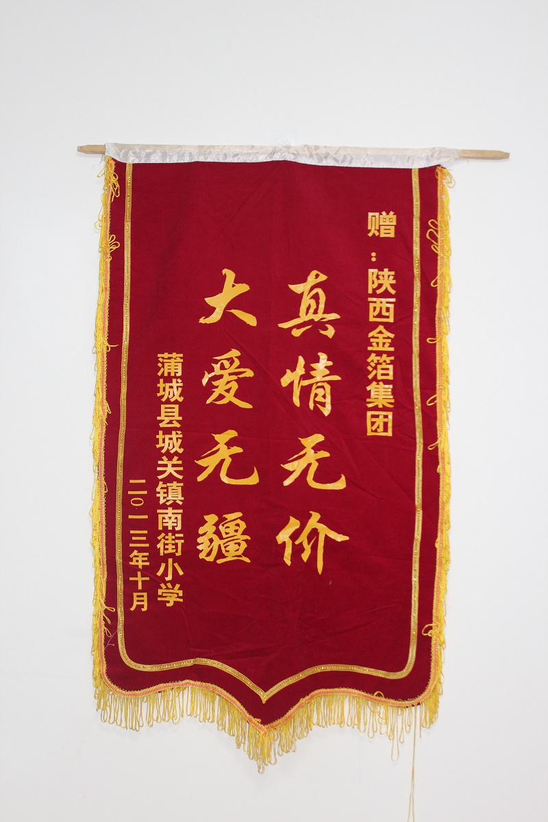 锦旗-蒲城县城关镇南街小学