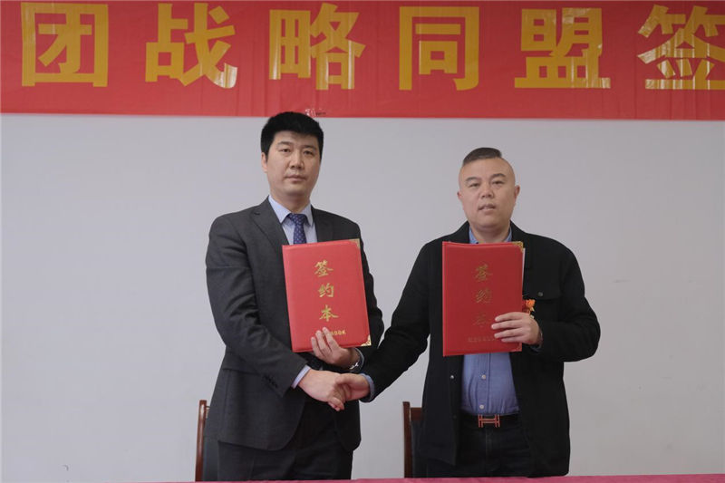 k8凯发(国际)天生赢家·一触即发